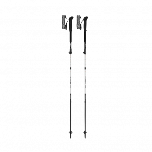 Bastones Skytera FX Carbon SL de Leki
